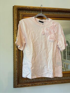 NWT Zara T-Shirt